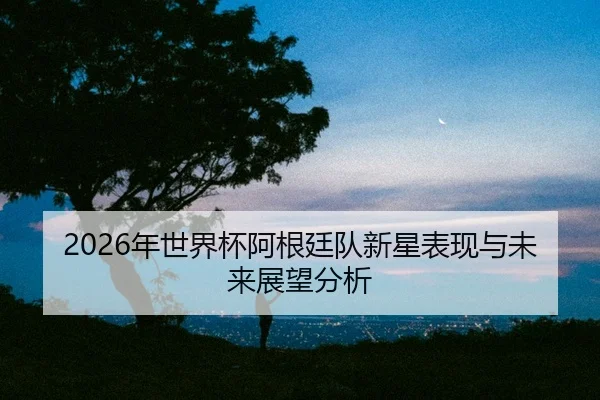 nian-shi-jie-bei-a-gen-ting-dui-xin-xing-biao-xian-yu-wei-lai-zhan-wang-fen-xi-2-162.jpg