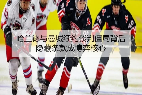 ha-lan-de-yu-man-cheng-xu-yue-tan-pan-jiang-ju-bei-hou-yin-cang-tiao-kuan-cheng-bo-yi-he-xin-2-548.jpg
