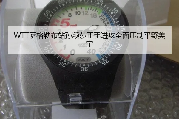 sa-ge-lei-bu-zhan-sun-ying-sha-zheng-shou-jin-gong-quan-mian-ya-zhi-ping-ye-mei-yu-2-289.jpg