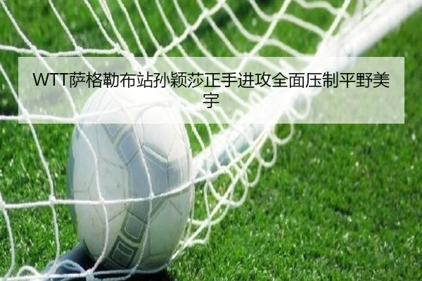 sa-ge-lei-bu-zhan-sun-ying-sha-zheng-shou-jin-gong-quan-mian-ya-zhi-ping-ye-mei-yu-3-408.jpg
