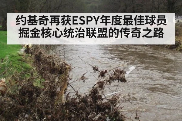 约基奇再获ESPY年度最佳球员 掘金核心统治联盟的传奇之路
